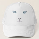 Recherche de minous casquettes Amoureux des chats