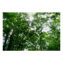 Recherche de un regard posters Nature