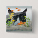 Recherche de poisson chat badges Aquarium