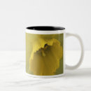 Recherche de jonquilles tasses Lumineux