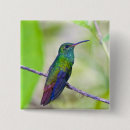 Suche nach studien buttons Ruhe