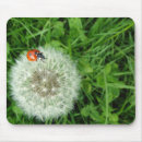 Recherche de pissenlit tapis souris Herbe