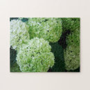 Recherche de hydrangea puzzles Jolie