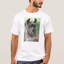 Suche nach lama gesicht tshirts Alpaka