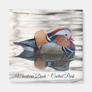 Recherche de le canard magnets Nature