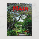 Suche nach plantagen postkarten Hawaii
