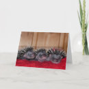 Suche nach hedgehogs karten Cute