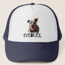Recherche de pitbull casquettes Chien
