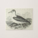 Recherche de oeil puzzles Nature