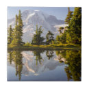Suche nach reflektiert fliesen Natur