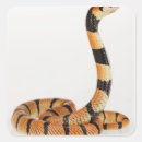 Recherche de sang froid autocollants Animal