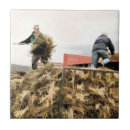 Suche nach landwirtschaft fliesen Bauer