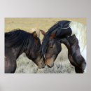 Recherche de paint horse posters Horses