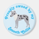 Recherche de merle magnets Chiens