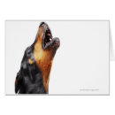 Suche nach einsamkeit postkarten Von nahem