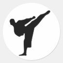 Recherche de karrate autocollants Le taekwondo