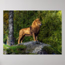 Suche nach könig der löwen poster Tier