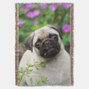Suche nach mops decken Niedlich
