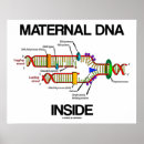 Suche nach biologe poster Biologie