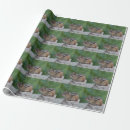 Suche nach chipmunks geschenkpapier Natur