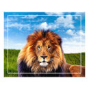 Suche nach löwe foto poster Tiere