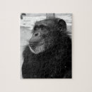 Suche nach gorrilla Tiere