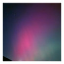 Suche nach aurora borealis poster Rosa