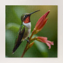 Suche nach beautiful puzzle Vogelvogel