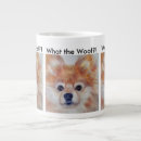 Suche nach niedlicher spitz tassen Haustier