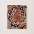 Suche nach weißer tiger puzzle Schön