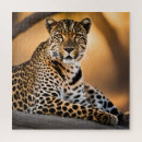 Suche nach leoparden puzzle Natur
