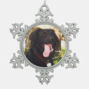 Recherche de chiens ornements Modèle