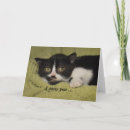 Suche nach verfehlen sie sie karten Katze