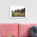 Recherche de paradis photographie Paysage
