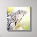 Suche nach reptil leinwandbilder Skalen