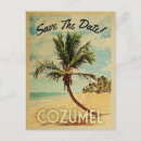Recherche de cozumel Palmier