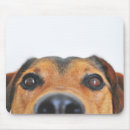 Suche nach nas mousepads Haustier