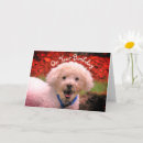 Recherche de chien joyeux anniversaire cartes postales Personnalisée