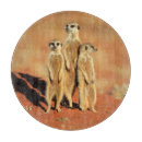 Suche nach afrika schneidebrettchen Natur