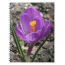 Suche nach krokus kleine notizbücher Botanisch