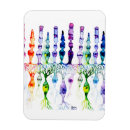Recherche de tige magnets Biologie