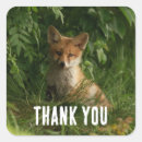 Suche nach weißer fuchs aufkleber Waldland
