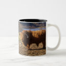 Recherche de taureau tasses Agriculture