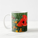 Recherche de coquelicots tasses Beau