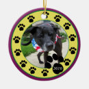 Suche nach 2010 ornamente Hund