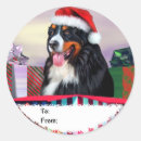 Suche nach bernese mountain dog aufkleber Urlaub