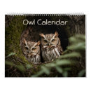 Suche nach eule kalender Tierwelt