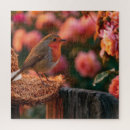 Suche nach rotkehlchen puzzle Vogel