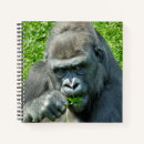 Recherche de primates carnets Gorille
