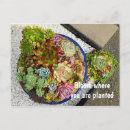Suche nach plant postkarten Natur